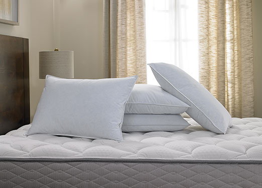 Product DoubleTree Pillow